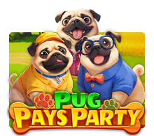 Pug Pays Party